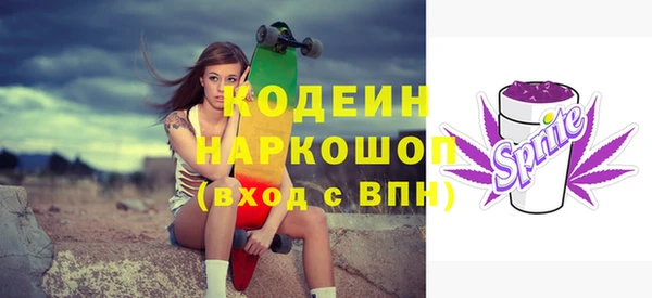 дживик Гусь-Хрустальный