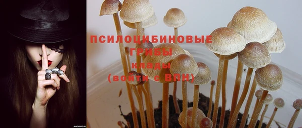 мескалин Няндома